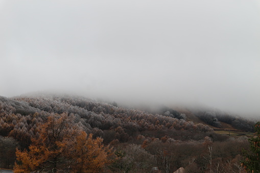 Mountain and Autumn  beautiful leave on a snowy day in Nagano Prefecture, Japan