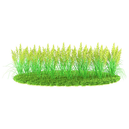Flower plants in the garden. High quality 3D rendering results.