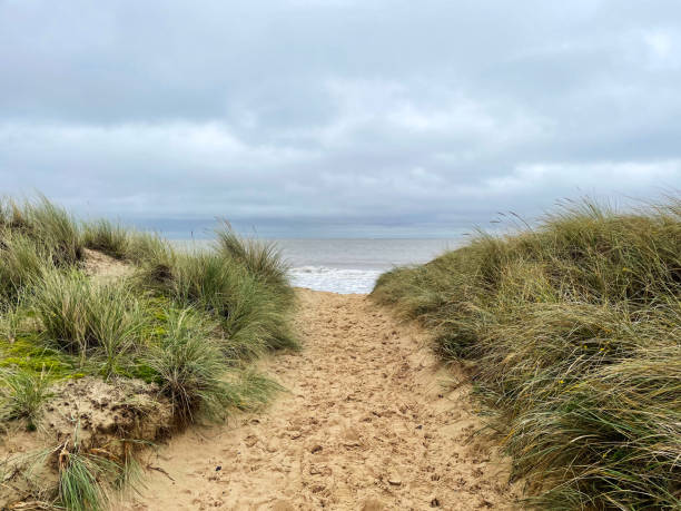 istock Sand dunes, in Great Yarmouth 1801357238