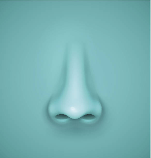 Background with nose Background with nose. Illustration contains transparency and blending effects, eps 10 nose stock illustrations