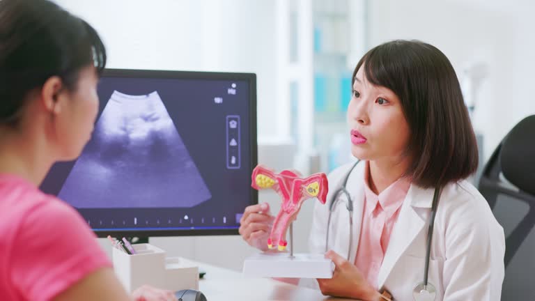 asian doctor uterine model explain