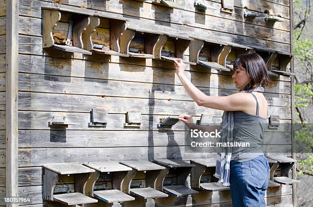 Lapicoltura House - Fotografie stock e altre immagini di Svizzera - Svizzera, Ape, Apicoltore