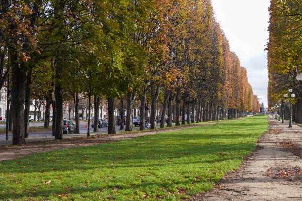 istock Public park in winter season. 1801562748