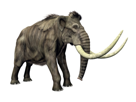 Computer generated 3D illustration with a prehistoric Mammoth on white background