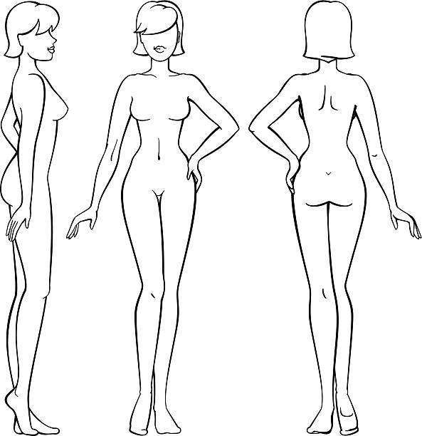 ilustraciones, imágenes clip art, dibujos animados e iconos de stock de mujer cuerpo: frontal, lateral y trasera vista en contorno - naked women human leg body