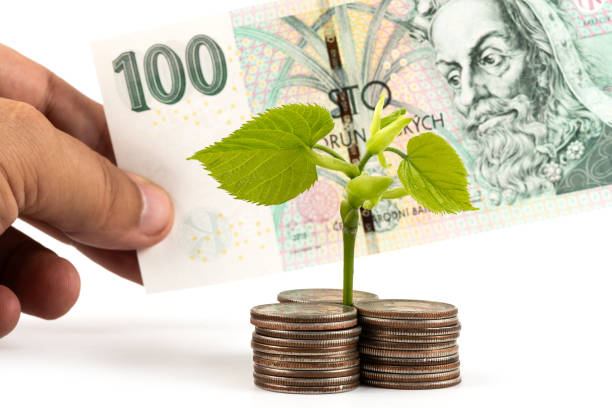 a young sprout sprouted from coins and a 100 czech crown banknote - czech culture currency wealth coin imagens e fotografias de stock
