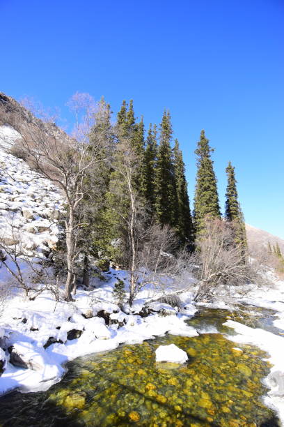 istock sunny winter day in nature 1801674395