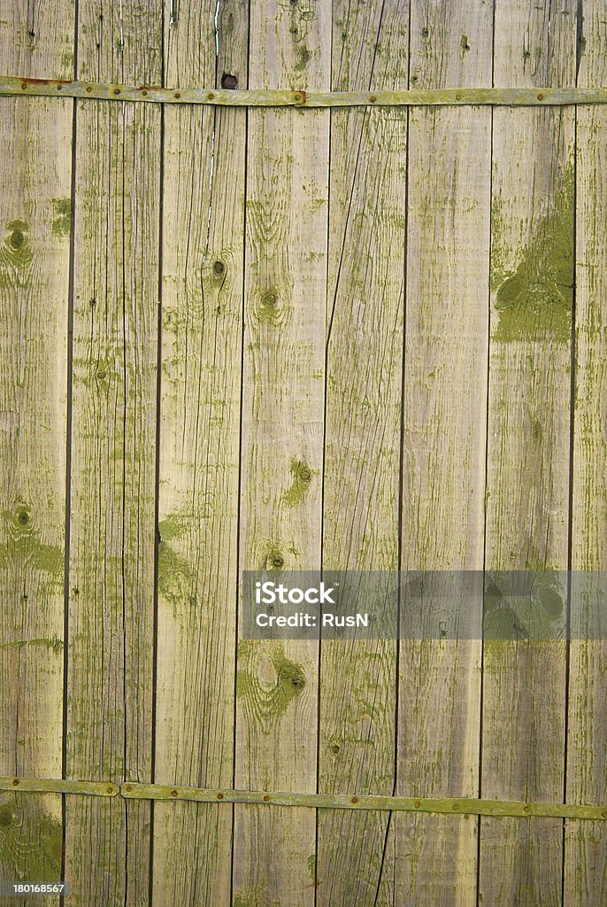 Verde muro - Foto de stock de Abstrato royalty-free