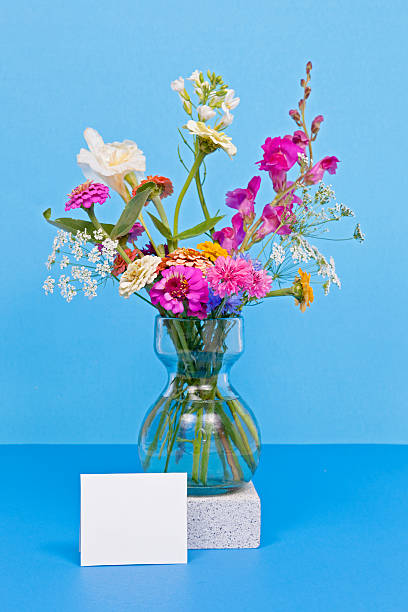 bouquet de fleurs sauvages - wildflower zinnia old fashioned copy space photos et images de collection