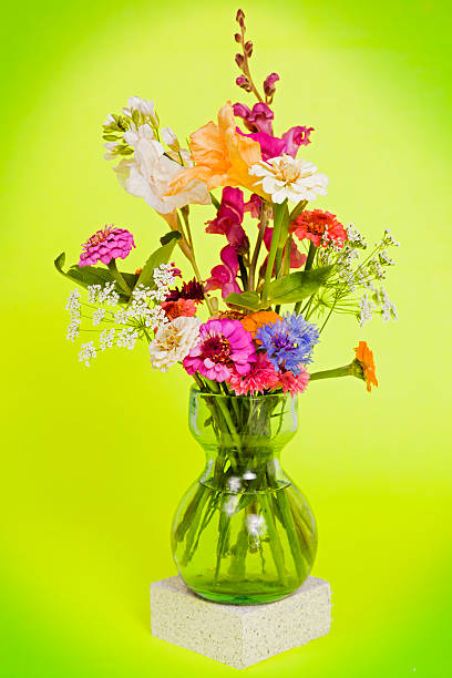ramo de flores silvestres - wildflower zinnia old fashioned copy space fotografías e imágenes de stock