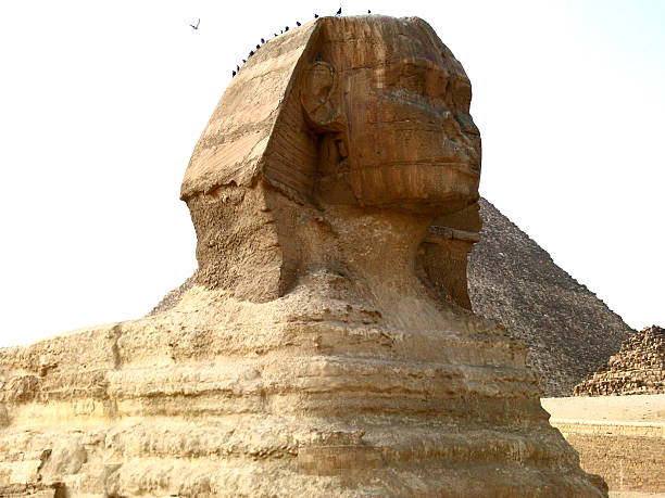 istock Sphinx with birds and egypt Pyramid in Giza 180172243