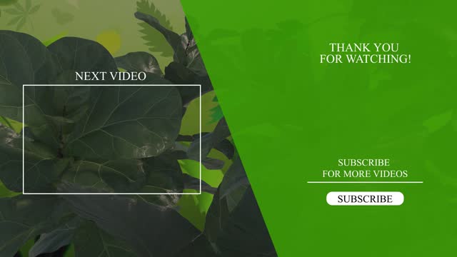 Youtube endscreen, green youtube end screen decorate with leaf