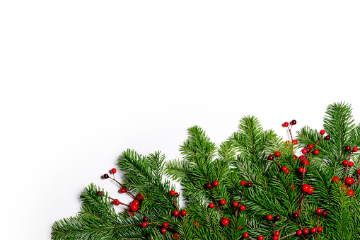 Fir Christmas tree branches and holly berries isolated on white background flat lay top view mock-up