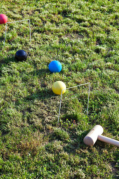 istock game of croquet on green lawn 180179475