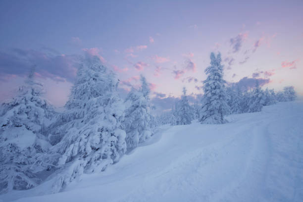 istock Winter landscape in the mountains 1801810779