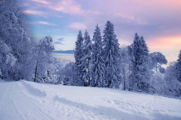 istock Winter landscape in the mountains 1801811663