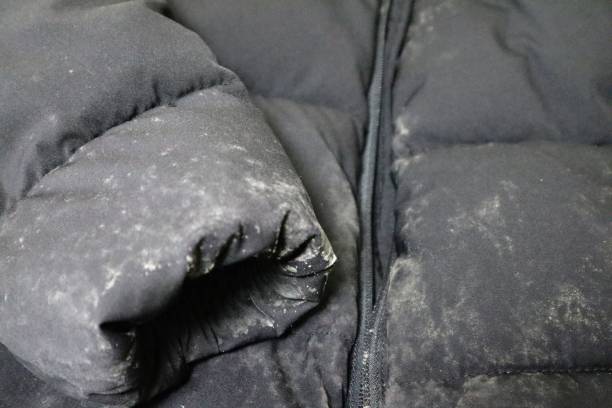 istock Close-up of a black down jacket with mold on it 1801824249