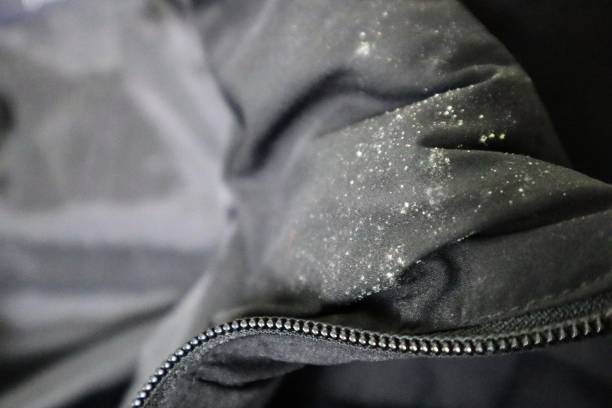 istock Close-up of a black down jacket with mold on it 1801829631