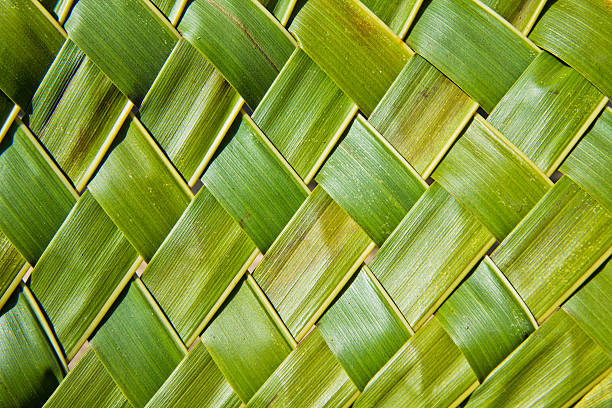 coconut leaves Zigzag interlocking of coconut leaves woven coconut leaves stock pictures, royalty-free photos & images