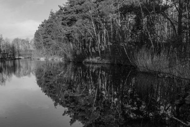istock Reflection  of silence in the water 1801848391