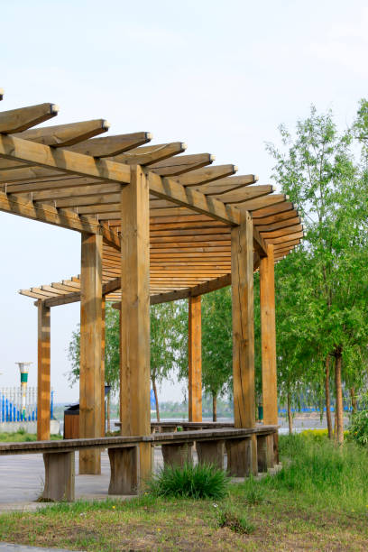 istock wood promenade in the park 1801863160