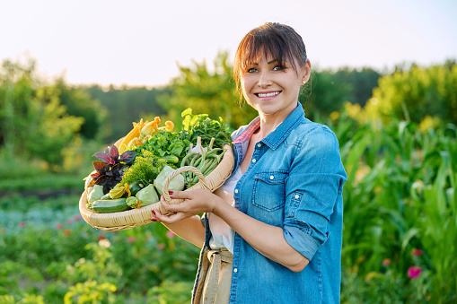 Smiling woman with basket of fresh green vegetables and herbs in vegetable garden on farm. Summer harvest, natural organic eco diet vegetarian vitamin food, nutrition, farmers market healthy lifestyle