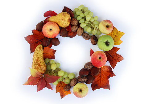 Garland made of various fresh autumnal fruits with orange and yellow leaves. Grapes, apples, pear, walnuts, leaves and chestnuts on white