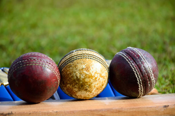 istock Cricket Sports 1801876642