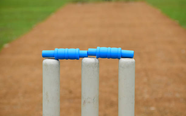 istock Cricket Sports 1801879319