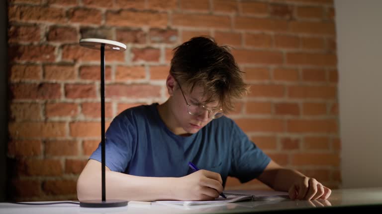 Teenage boy studying at the desk at home