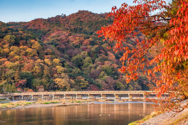 istock Autumn at Arashiyama Kyoto Japan 1801898533