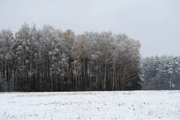 winter time first snow