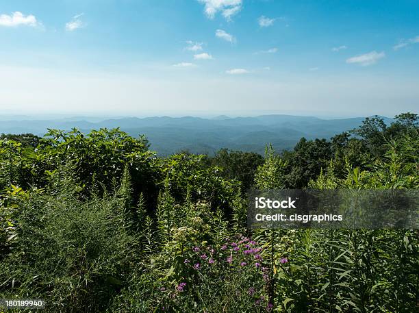 Горы Блю Ридж Летом — стоковые фотографии и другие картинки Горы Блю Ридж - Горы Блю Ридж, Северная Каролина - штат США, Аппалачи