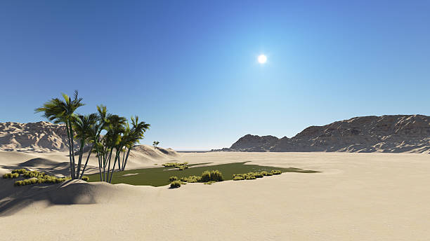 Oasis Oasis in the desert made in 3d software desert oasis stock pictures, royalty-free photos & images