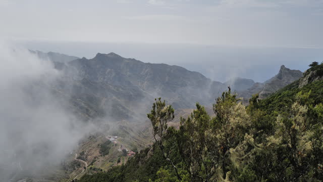 Majestic landscapes of laurel forest ecosystem in Tenerife