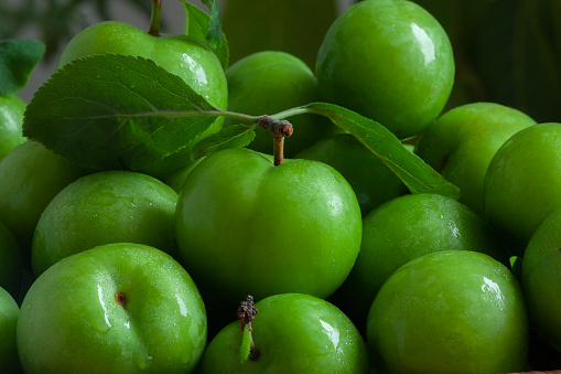 five green apples on a white isolated background