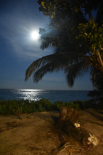 view from the beach with moonlight