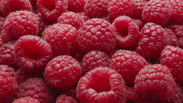 Macro video of ripe raspberries with raspberry leaves. Beautiful berry background.