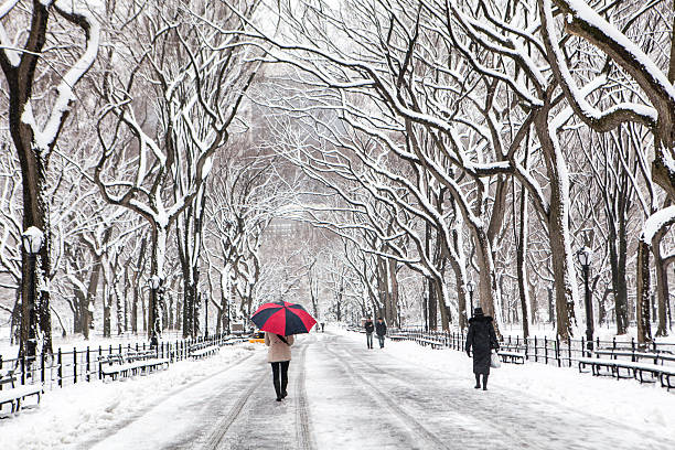 istock Winter in New York 180200246
