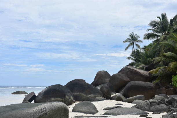 istock holiday in paradise 1802003428