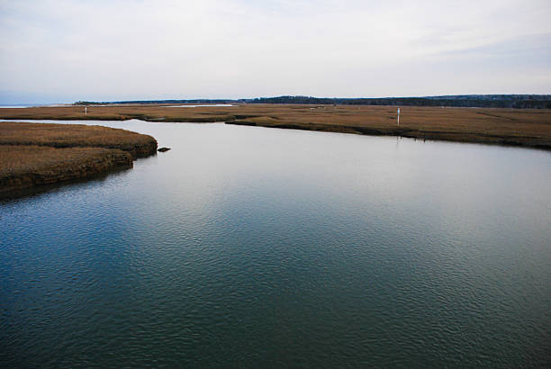 cape cod waterway - cape cod new england sea marsh foto e immagini stock