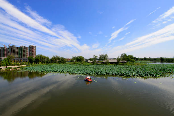 istock Wide water surface and buildings 1802028295