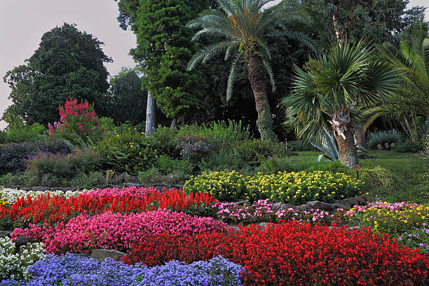 Wonderful bright flowerbeds in an exotic park. Lake Como, Villa Carlotta