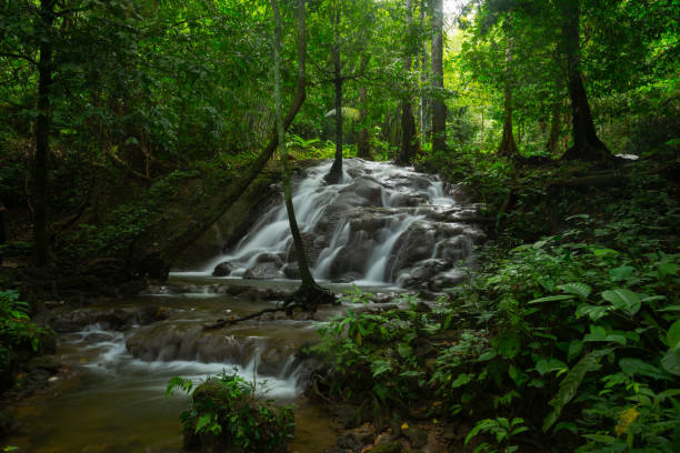 istock Waterfall at Phangnga province, Thailand 1802073591