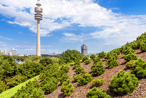 TV Tower and BMW headquarters building, view from Olympic Park, Munich, Germany. Landscape with landmarks of Munchen city on sky background. Green coniferous garden in summer. Munich - Aug 2, 2019