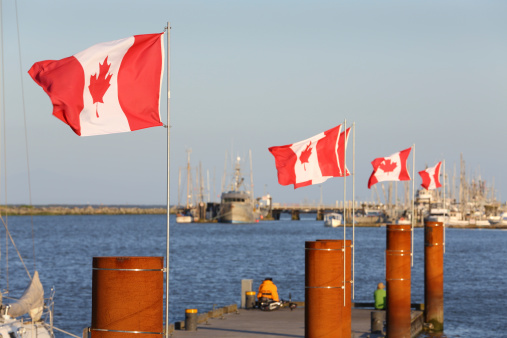 Canadian flags flap in a stiff breeze in Steveston Harbor. British Columbia, Canada.