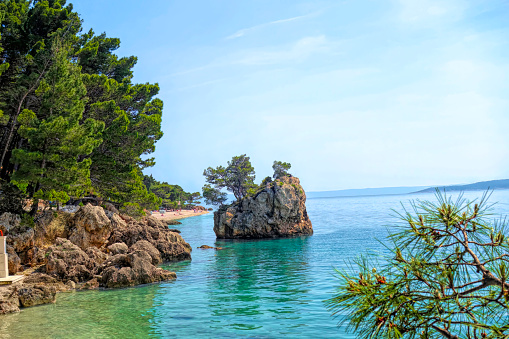 Turquoise Adriatic Sea and beautiful rock with pine tree. Vacation, travel and tourism destination.