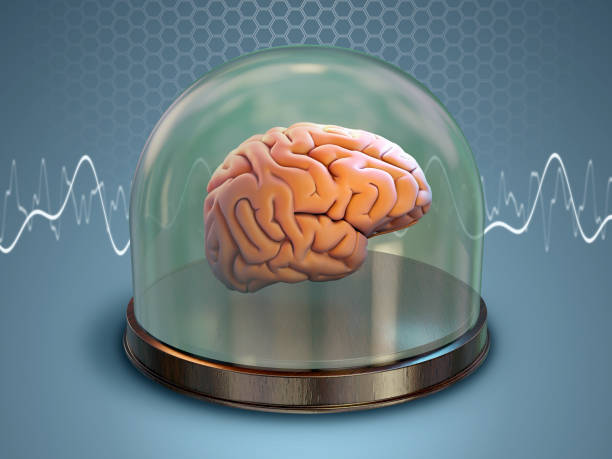 istock Brain health and protection 1802098253