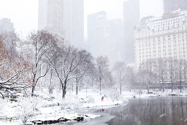 istock Winter in New York 180212675