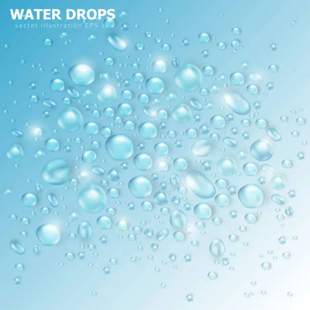 Vector illustration of Realistic water drops or 3d condensation with light reflection on the glass surface.